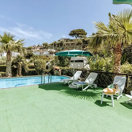 Отель Galidon Wellness Park & 4*